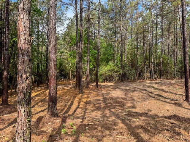 0 T-3 Benny Griffen Road, Dallardsville, TX 77351