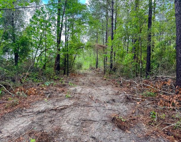 0 T-3 Benny Griffen Road, Dallardsville, TX 77351