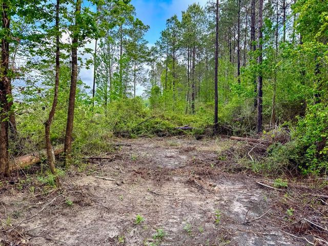 0 T-3 Benny Griffen Road, Dallardsville, TX 77351