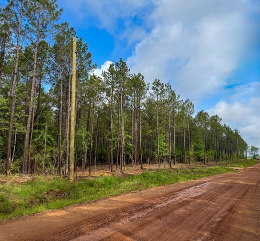 0 T-3 Benny Griffen Road, Dallardsville, TX 77351
