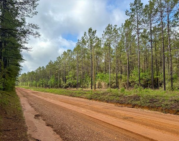 0 T-3 Benny Griffen Road, Dallardsville, TX 77351