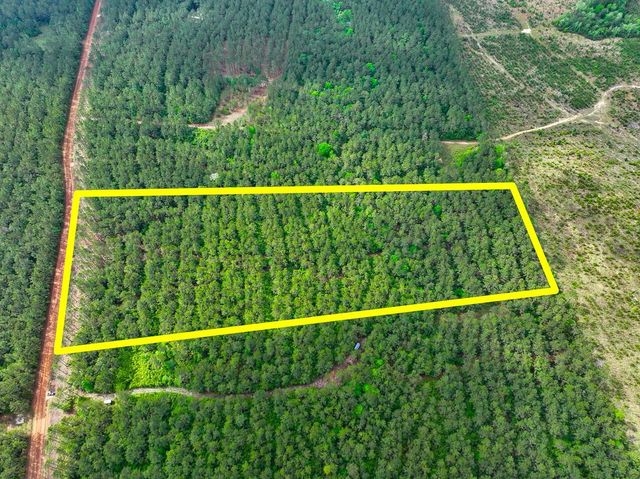 0 T-3 Benny Griffen Road, Dallardsville, TX 77351