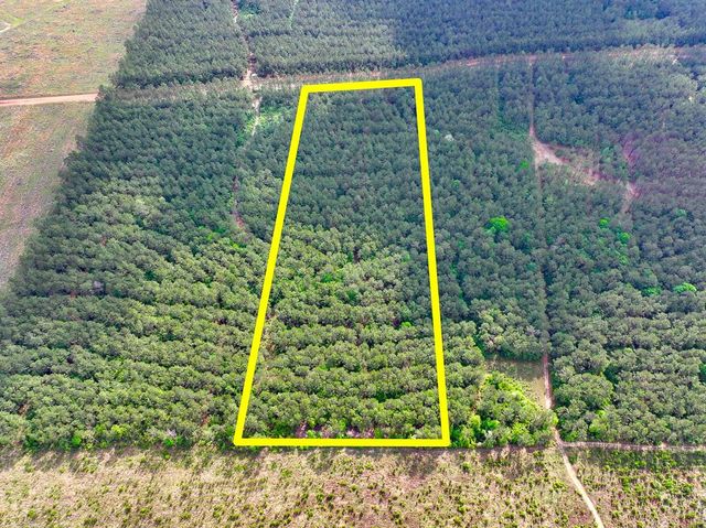 0 T-3 Benny Griffen Road, Dallardsville, TX 77351