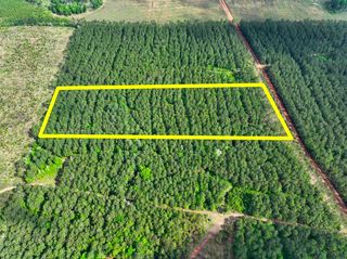 0 T-3 Benny Griffen Road, Dallardsville, TX 77351