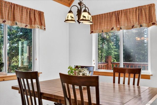 255 Bum Drive, Fairplay, CO 80440