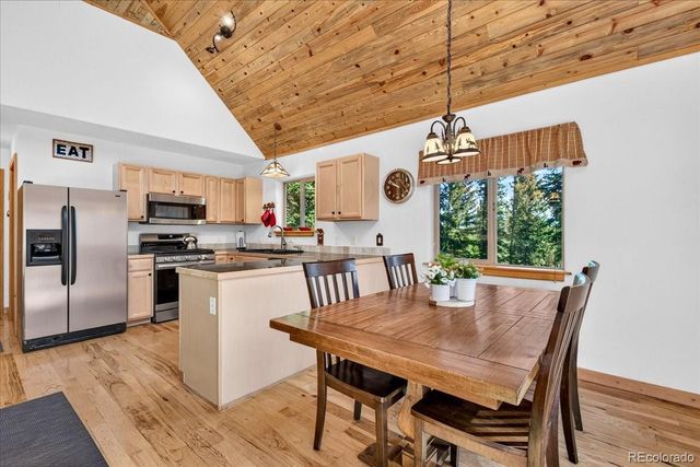 255 Bum Drive, Fairplay, CO 80440