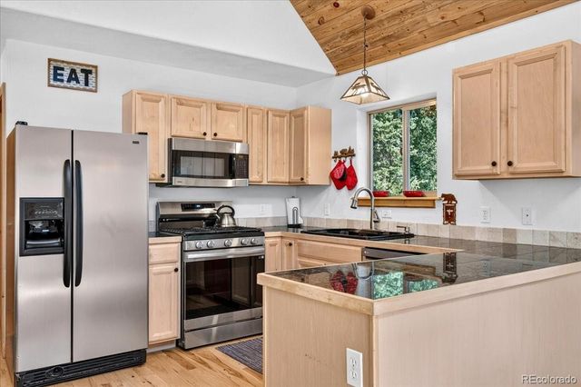 255 Bum Drive, Fairplay, CO 80440