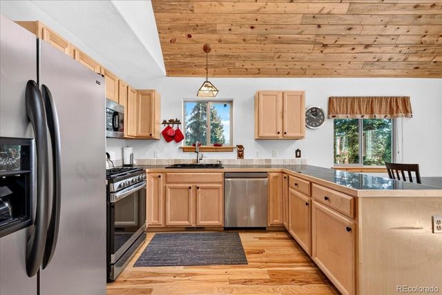 255 Bum Drive, Fairplay, CO 80440