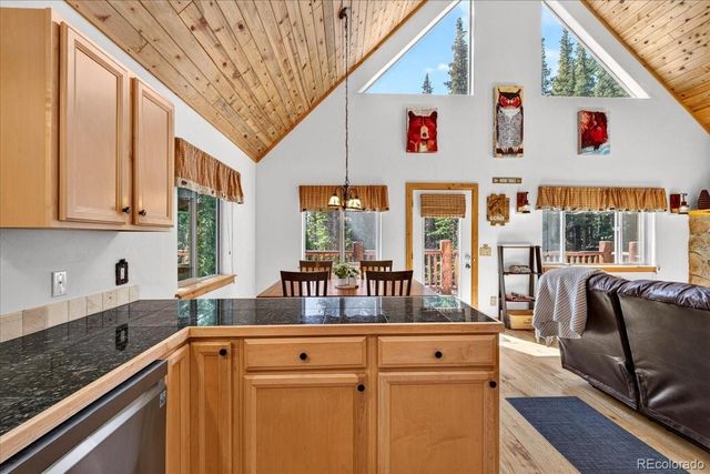 255 Bum Drive, Fairplay, CO 80440
