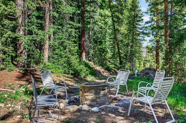255 Bum Drive, Fairplay, CO 80440