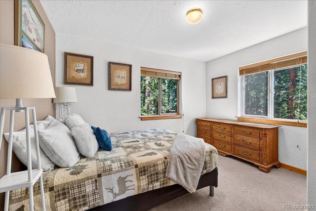 255 Bum Drive, Fairplay, CO 80440