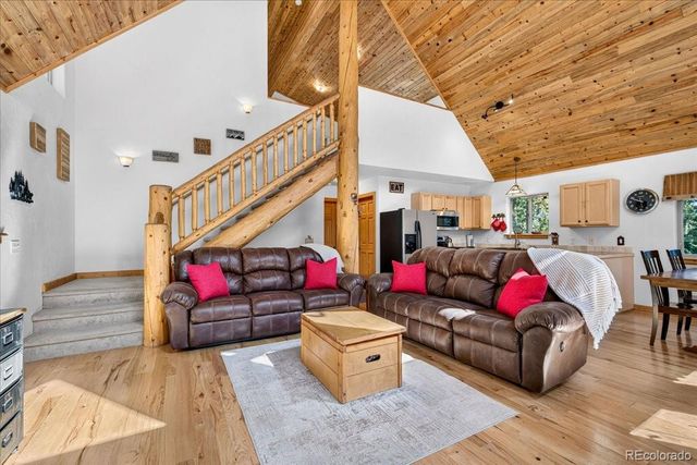 255 Bum Drive, Fairplay, CO 80440