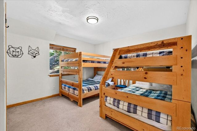 255 Bum Drive, Fairplay, CO 80440