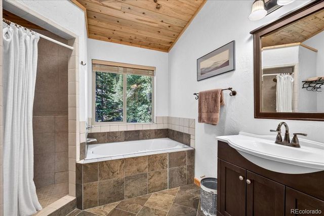255 Bum Drive, Fairplay, CO 80440