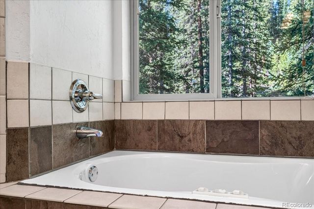 255 Bum Drive, Fairplay, CO 80440