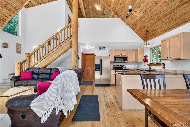 255 Bum Drive, Fairplay, CO 80440