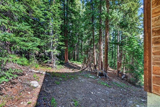 255 Bum Drive, Fairplay, CO 80440