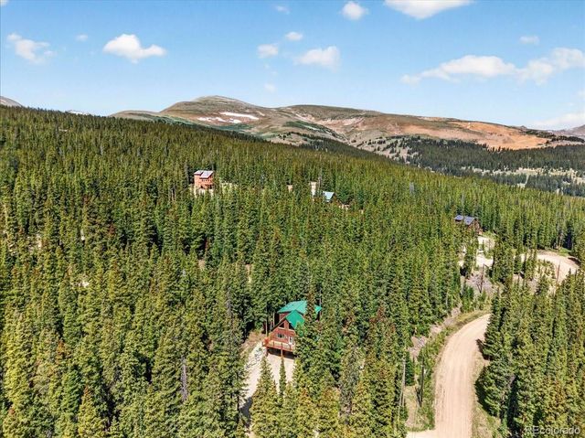 255 Bum Drive, Fairplay, CO 80440