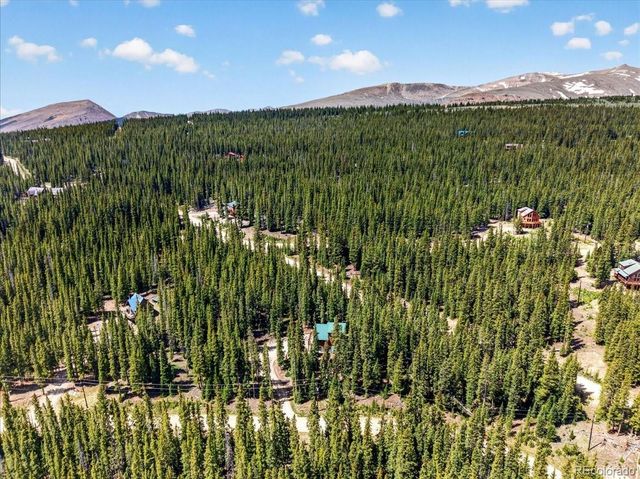 255 Bum Drive, Fairplay, CO 80440