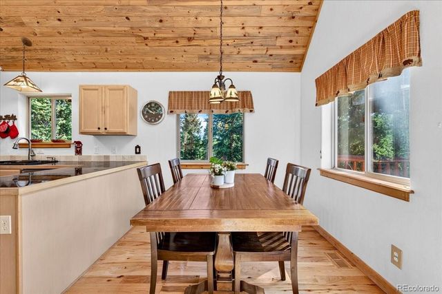 255 Bum Drive, Fairplay, CO 80440