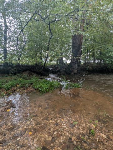 441 Matts Hollow Rd, Manchester, TN 37355