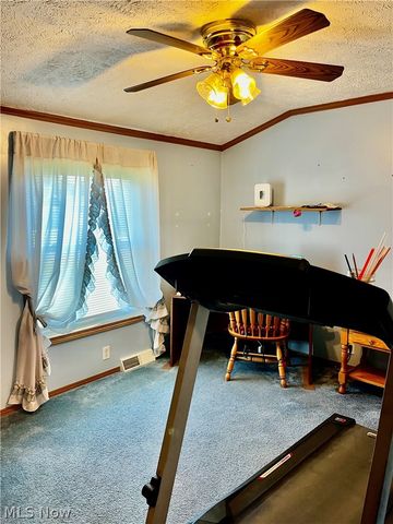 1324 Lake Vue Drive, Roaming Shores, OH 44085