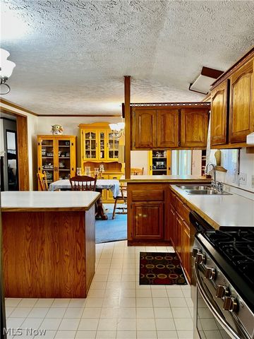 1324 Lake Vue Drive, Roaming Shores, OH 44085