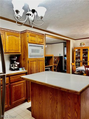 1324 Lake Vue Drive, Roaming Shores, OH 44085