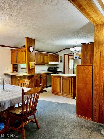 1324 Lake Vue Drive, Roaming Shores, OH 44085