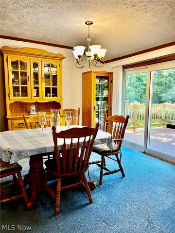1324 Lake Vue Drive, Roaming Shores, OH 44085