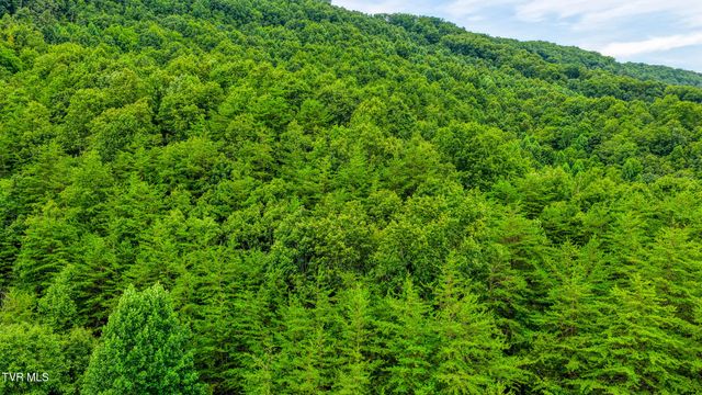 201 Early Branch Road, Rogersville, TN 37857