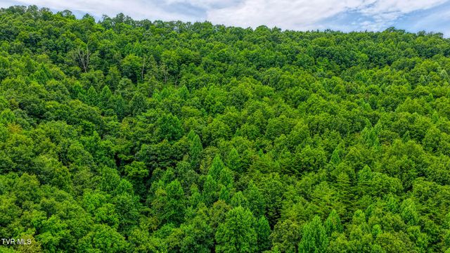 201 Early Branch Road, Rogersville, TN 37857