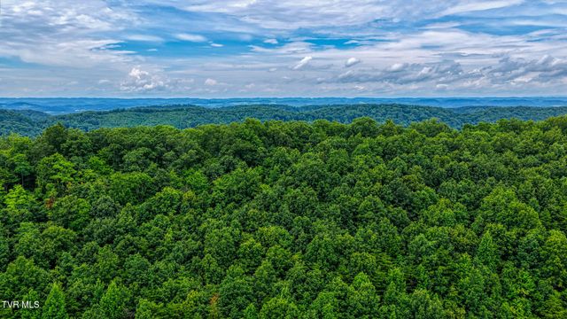 201 Early Branch Road, Rogersville, TN 37857