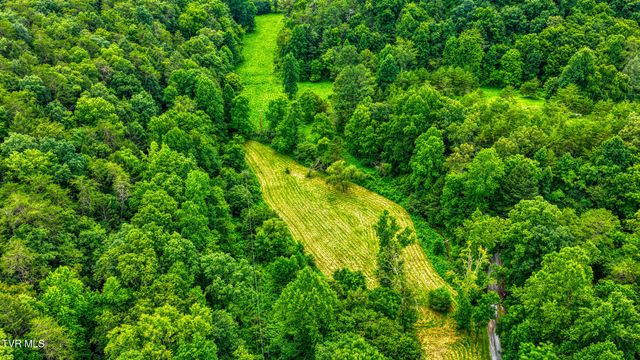 201 Early Branch Road, Rogersville, TN 37857