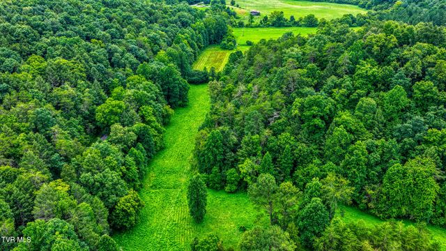 201 Early Branch Road, Rogersville, TN 37857