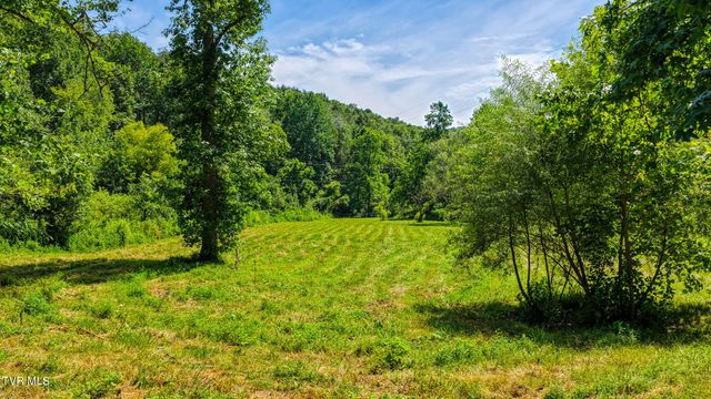 201 Early Branch Road, Rogersville, TN 37857
