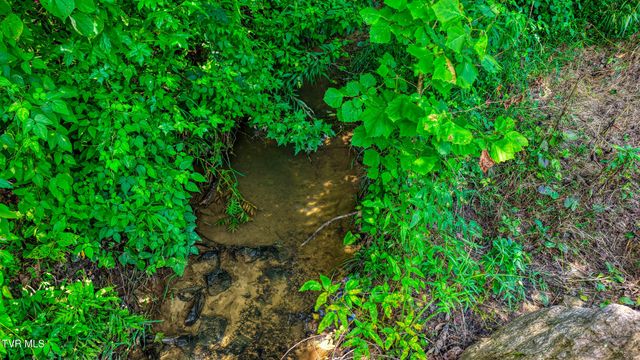 201 Early Branch Road, Rogersville, TN 37857