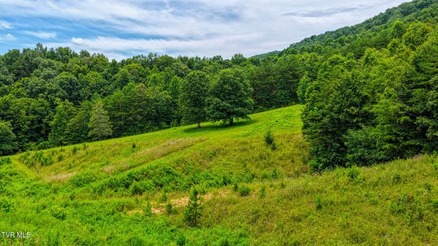 201 Early Branch Road, Rogersville, TN 37857