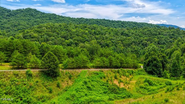 201 Early Branch Road, Rogersville, TN 37857