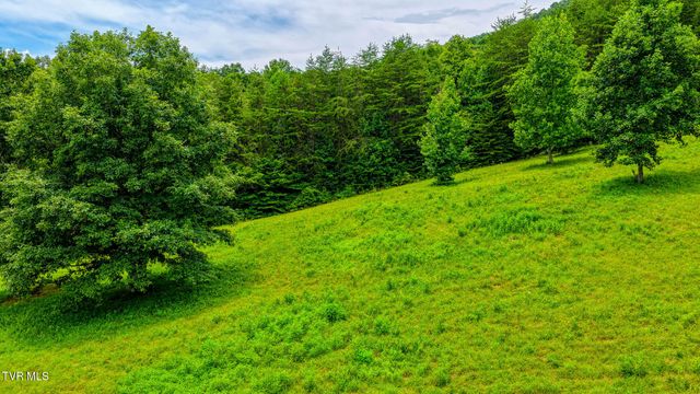 201 Early Branch Road, Rogersville, TN 37857