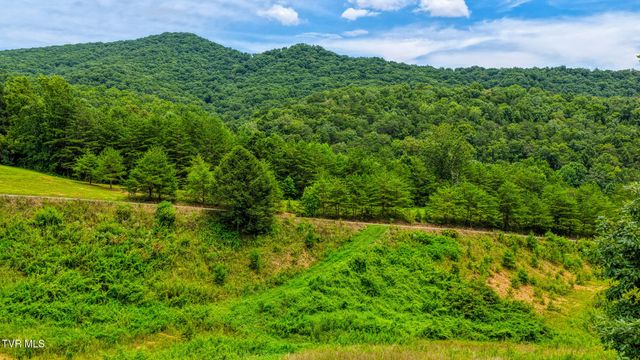 201 Early Branch Road, Rogersville, TN 37857