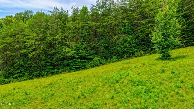 201 Early Branch Road, Rogersville, TN 37857
