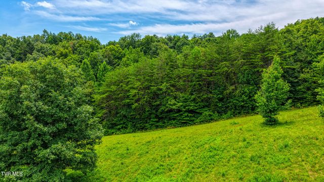 201 Early Branch Road, Rogersville, TN 37857