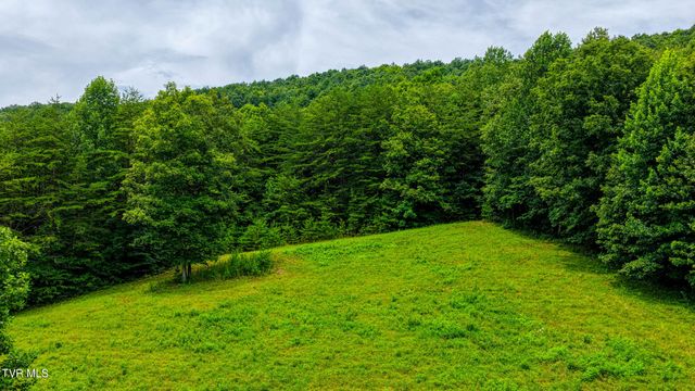 201 Early Branch Road, Rogersville, TN 37857