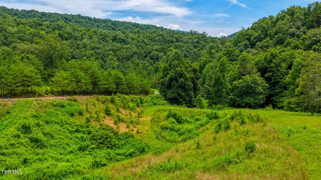 201 Early Branch Road, Rogersville, TN 37857