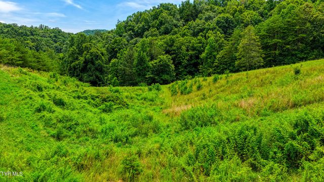201 Early Branch Road, Rogersville, TN 37857