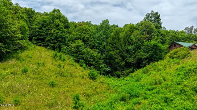 201 Early Branch Road, Rogersville, TN 37857