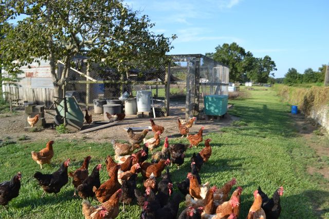 256 E 25th Place, Larose, LA 70373