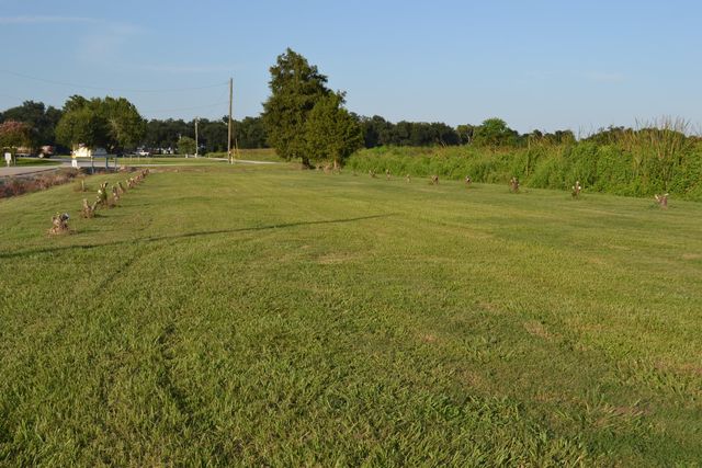 256 E 25th Place, Larose, LA 70373