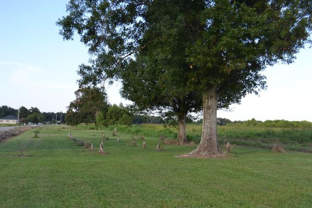 256 E 25th Place, Larose, LA 70373